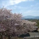 旧上山市立西郷第二小学校