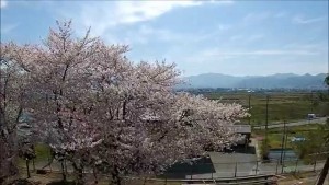 旧上山市立西郷第二小学校
