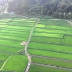 椹平の棚田・2015夏2（朝日町）