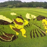 尾花沢の田圃アート（尾花沢市）
