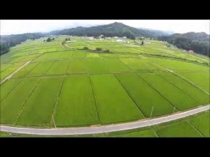 玉庭の田圃（川西町）