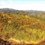 朝日町の農道（朝日町）