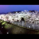 サクラライン（山形市）