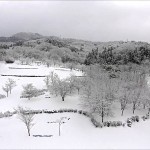 悠創の丘（山形市）