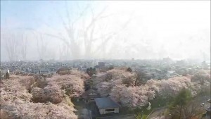 陣内アナウンサー（山形市）