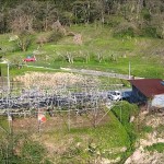 玉ノ井の桜（朝日町）