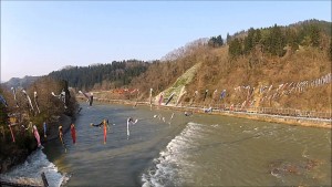 鮎茶屋の桜（白鷹町）