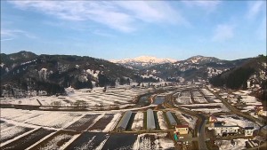 中津川の雪待桜（飯豊町）
