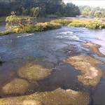 タンの瀬・秋（朝日町）