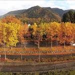 釈迦堂公園・秋（山形市）