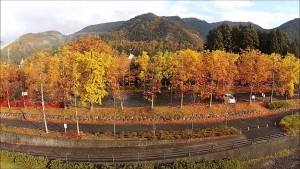 釈迦堂公園・秋（山形市）