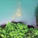 鴫の谷地沼（山形市）