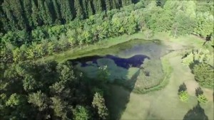 はんのき夫婦沼（山辺町）