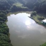 山元沼（天童市）