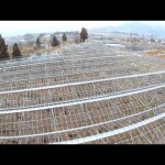 ひまわり農園（上山市）