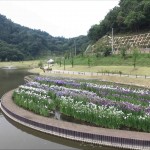 愛宕沼（天童市）