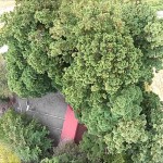 鎮守の森（米沢市）