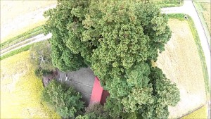 鎮守の森（米沢市）