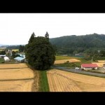 米沢のトトロ・秋（米沢市）