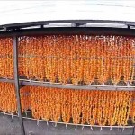 柿干（上山市）