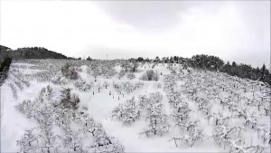 和合平・冬（朝日町）