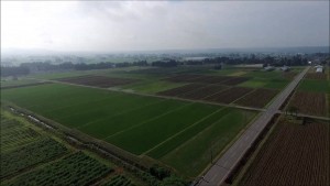 田園散居集落（飯豊町）