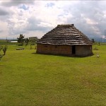 西沼田遺跡・夏（天童市）
