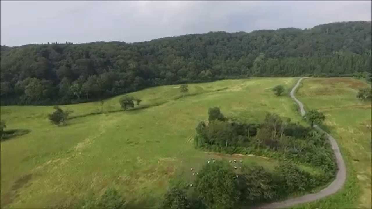 大網放牧場（鶴岡市）