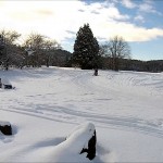 スノーモービル（山形市）