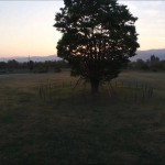 西公園の朝日（山形市）