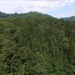 松程新田（朝日町）