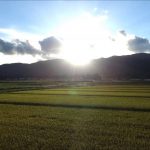 陽 空 金（長井市）