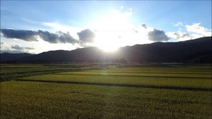 陽 空 金（長井市）