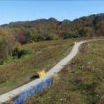 柏原ヴィンヤード 秋（朝日町）