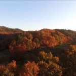 馬神溜池の秋（朝日町）