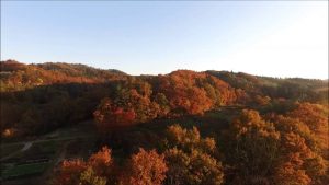 馬神溜池の秋（朝日町）