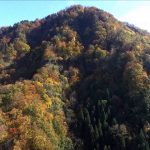 天狗の山（金山町）