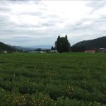 トトロ完結!!（米沢市）