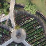 ダリア園（川西町）