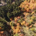 山王台公園（寒河江市）