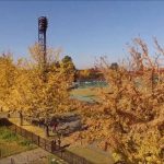 霞城公園の秋（山形市）